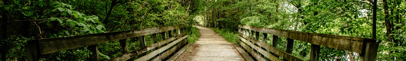 bridge through the woods at afton state park