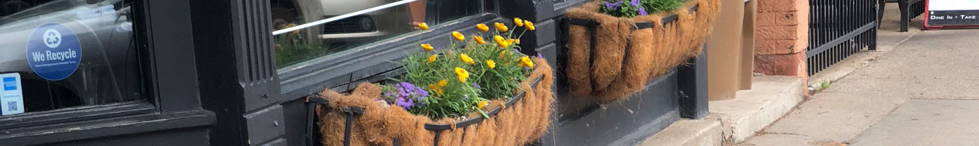 flowerbox with yellow flowers outside downtown business